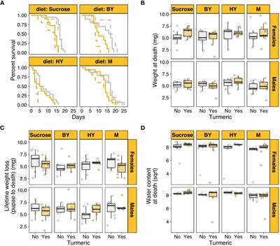 Turmeric shortens lifespan in houseflies